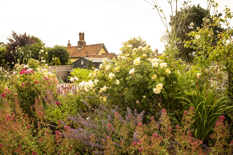 The White Cottage